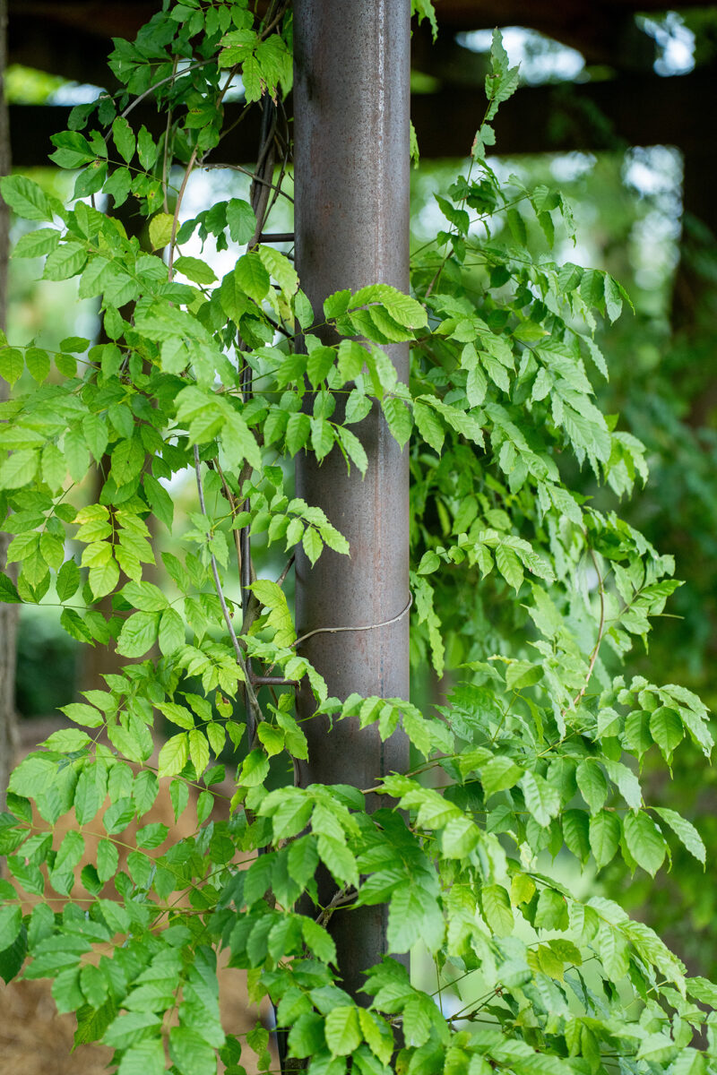 habillage végétal poteau